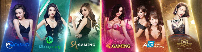 สล็อต true wallet เว็บตรง